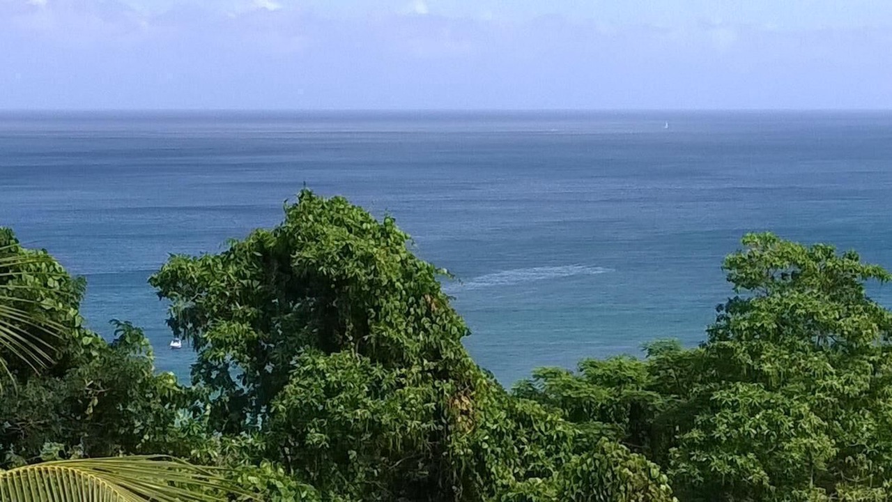 Photo of Others in Mare Anglaise