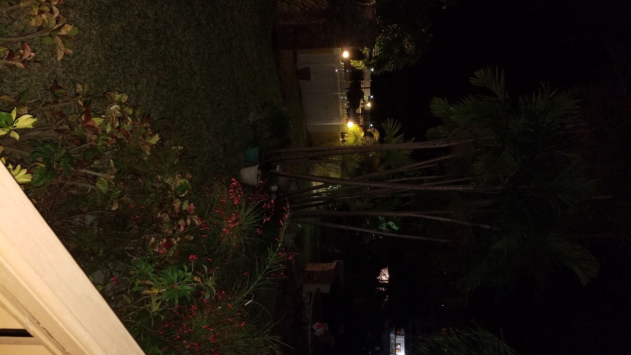 Photo of Outdoor in Lucaya