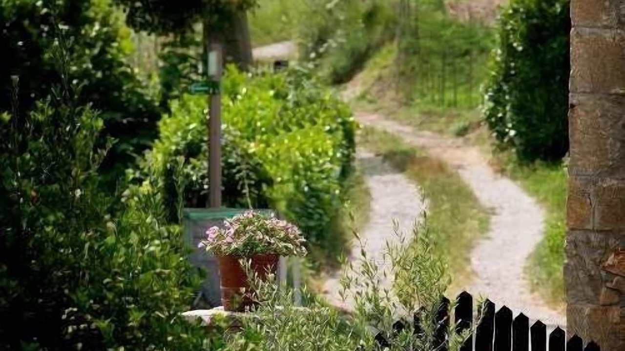 Photo of Outdoor in Santa Maria de Besora