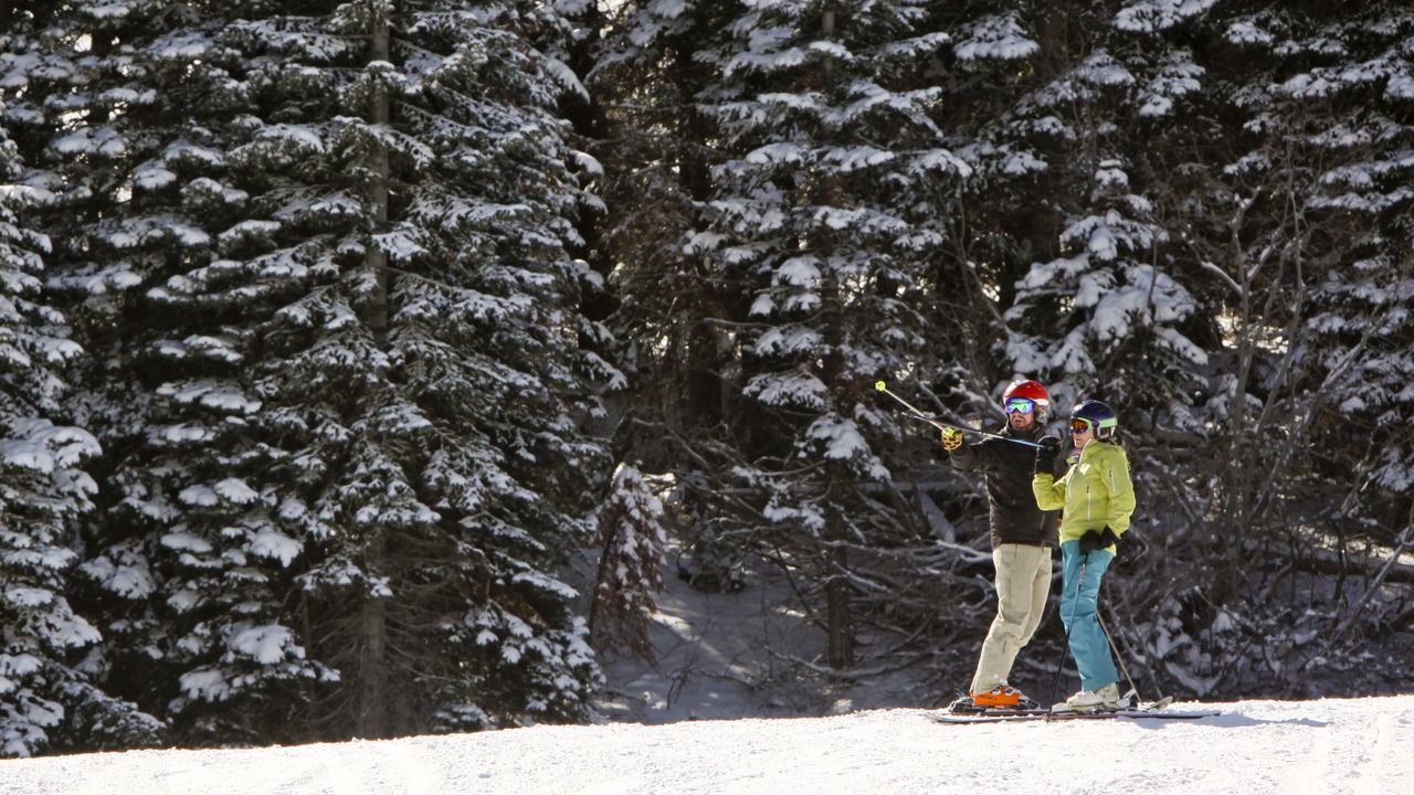 Photo of Others in Truckee