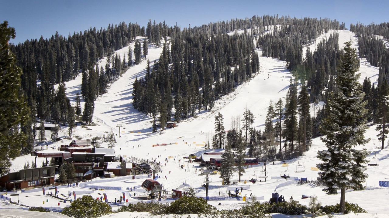 Photo of Others in Truckee