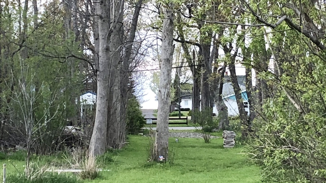 Photo of Outdoor in Dunkirk