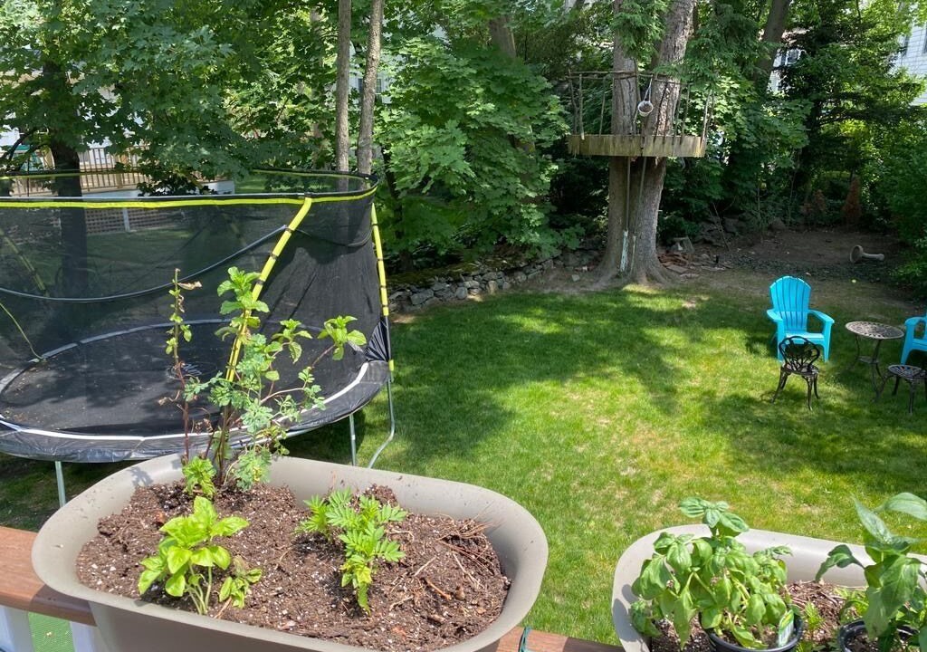 Photo of Outdoor in Larchmont