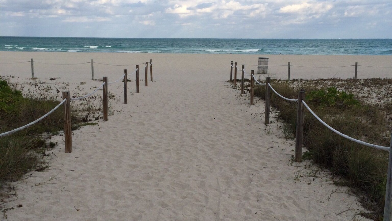 Photo of Others in Mid Beach