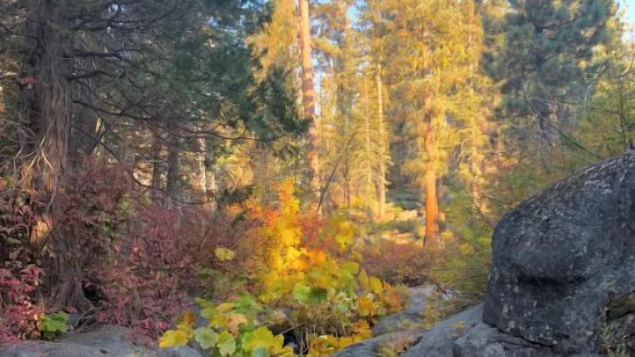 Photo of Others in Shaver Lake