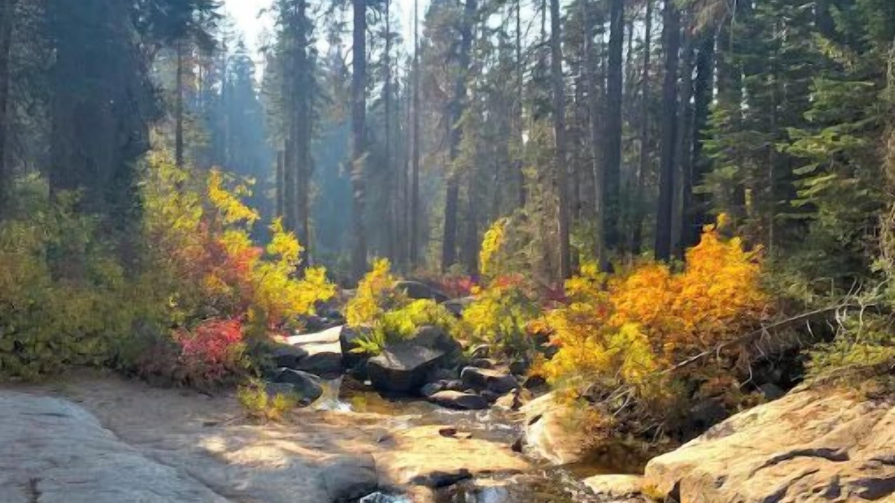 Photo of Outdoor in Shaver Lake
