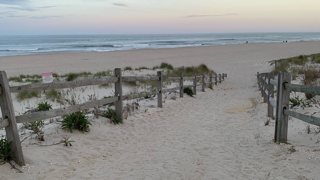 Photo of Others in Surf City