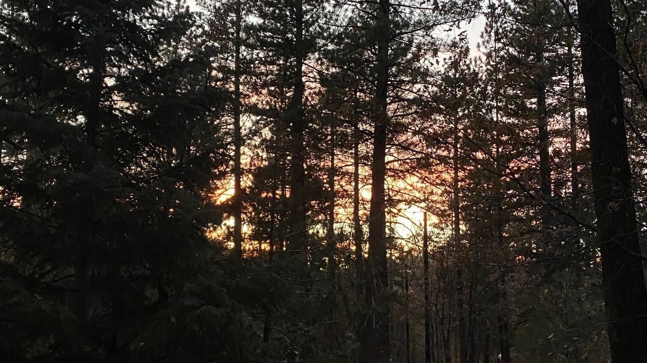 Photo of Outdoor in Arrowbear Lake
