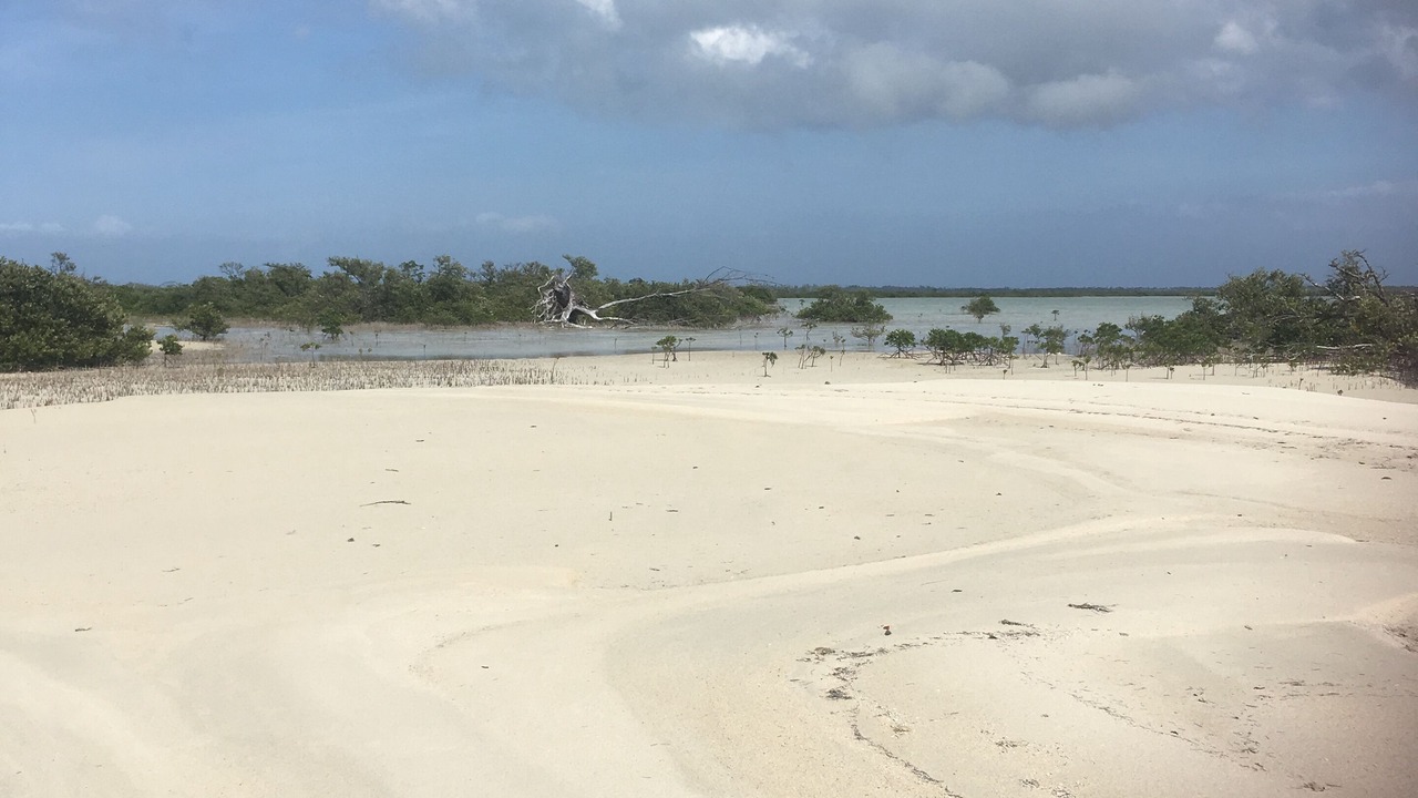 Photo of Others in San Andros