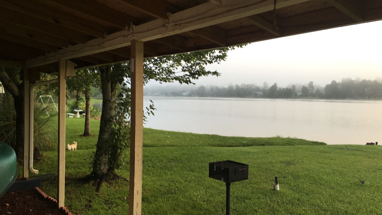 Photo of Outdoor in Saucier