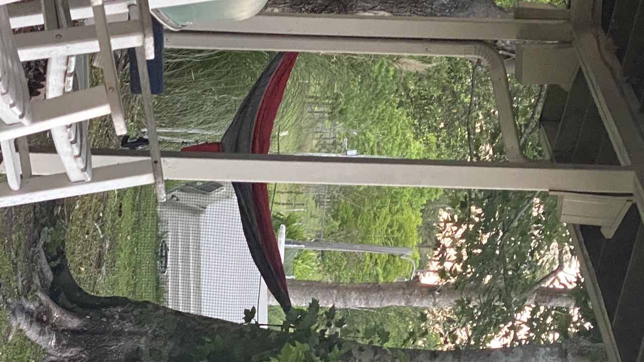 Photo of Others in Saucier