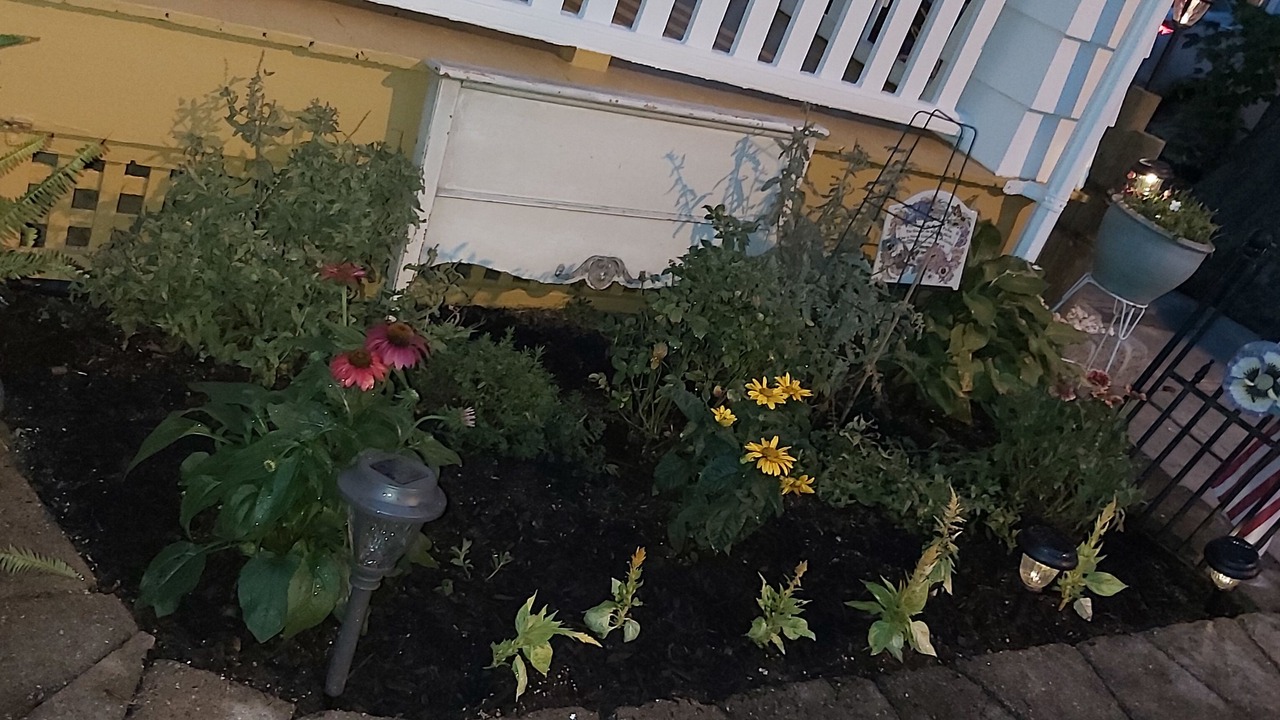 Photo of Outdoor in Ocean Grove