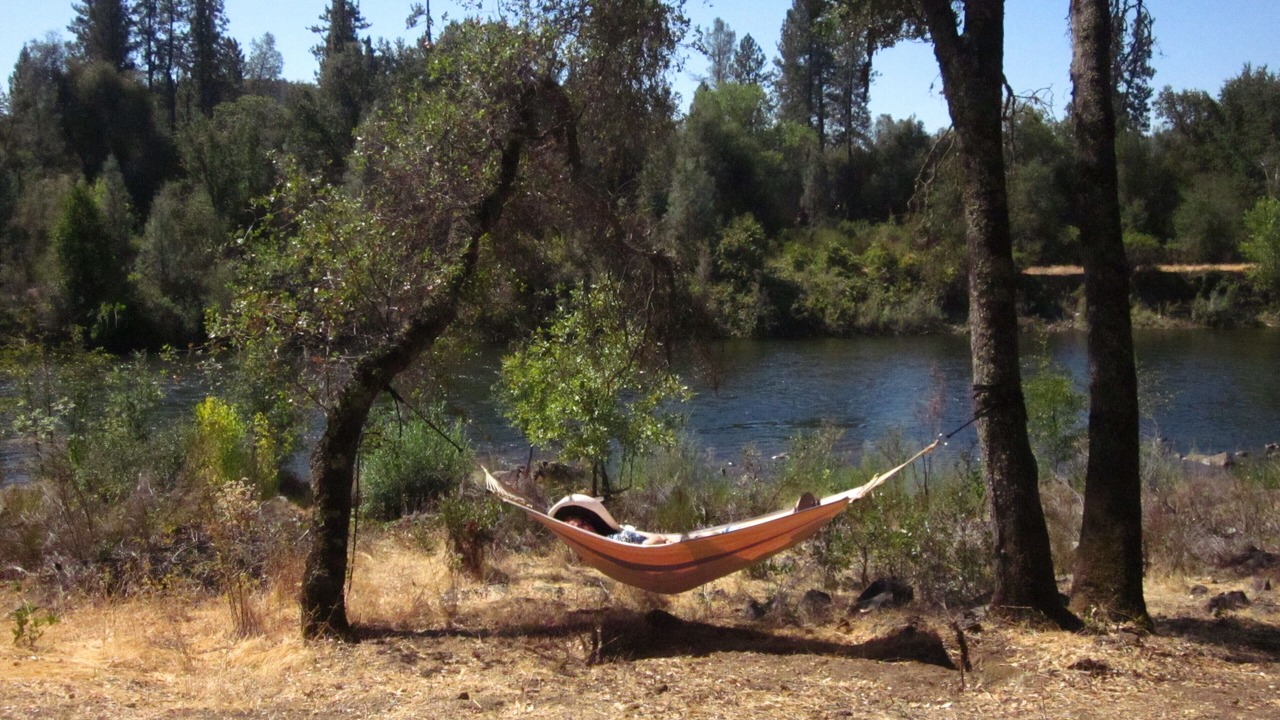 Photo of Outdoor in Lotus