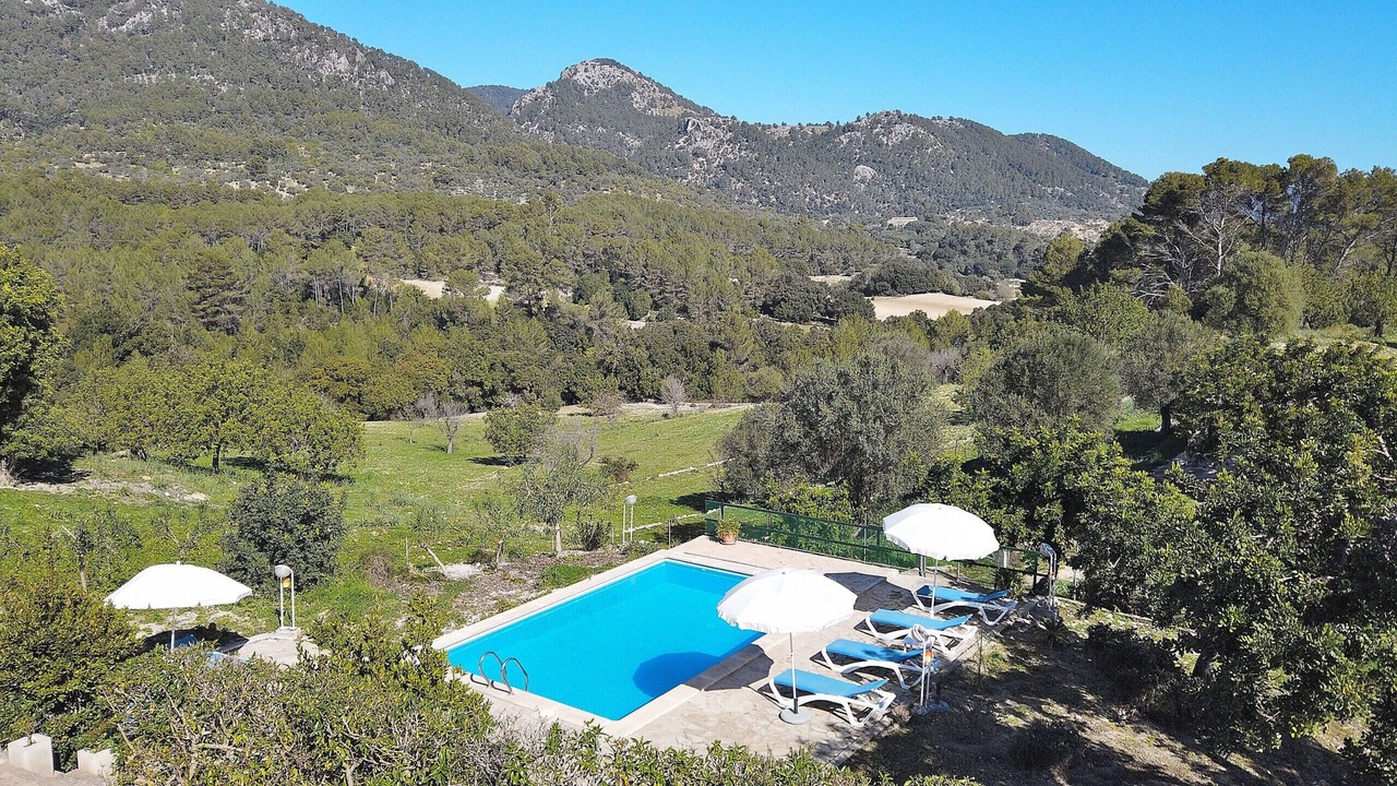 Photo of Outdoor in Selva