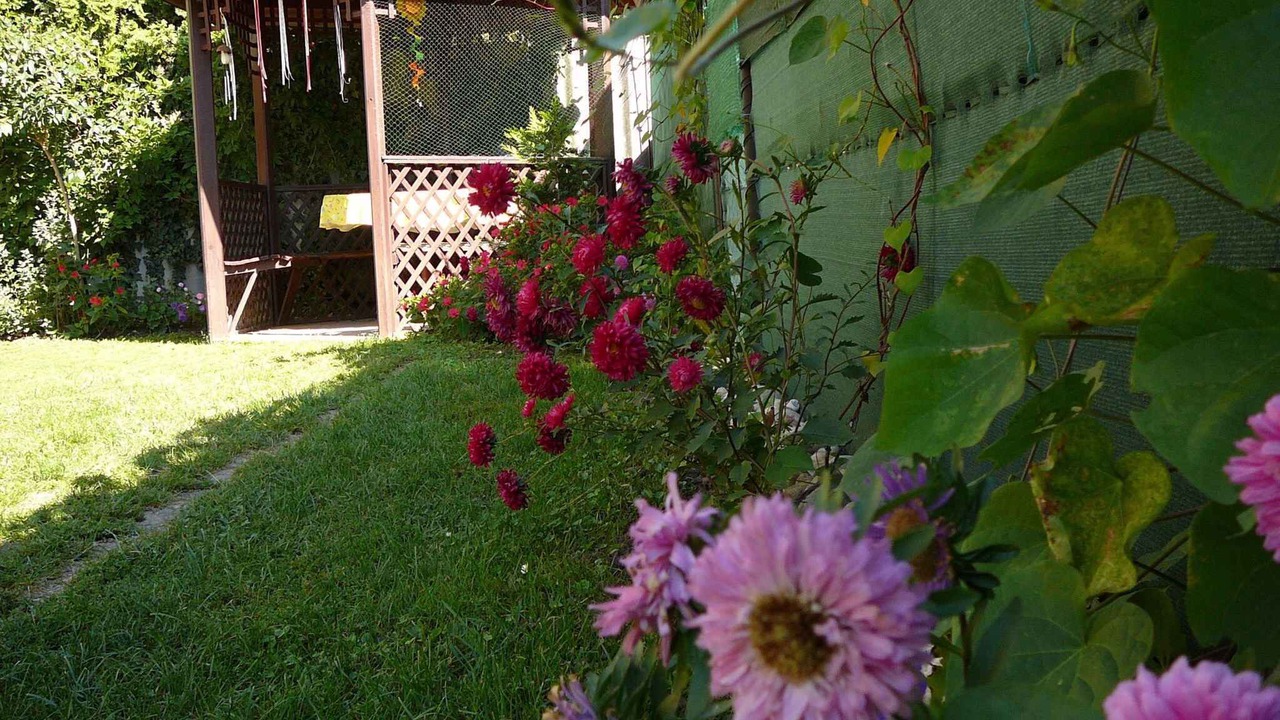 Photo of Outdoor in Heviz