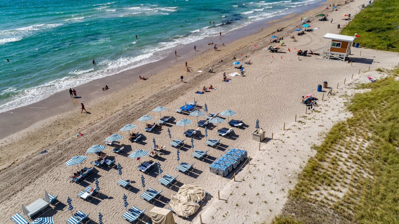 Photo of Others in Hallandale Beach