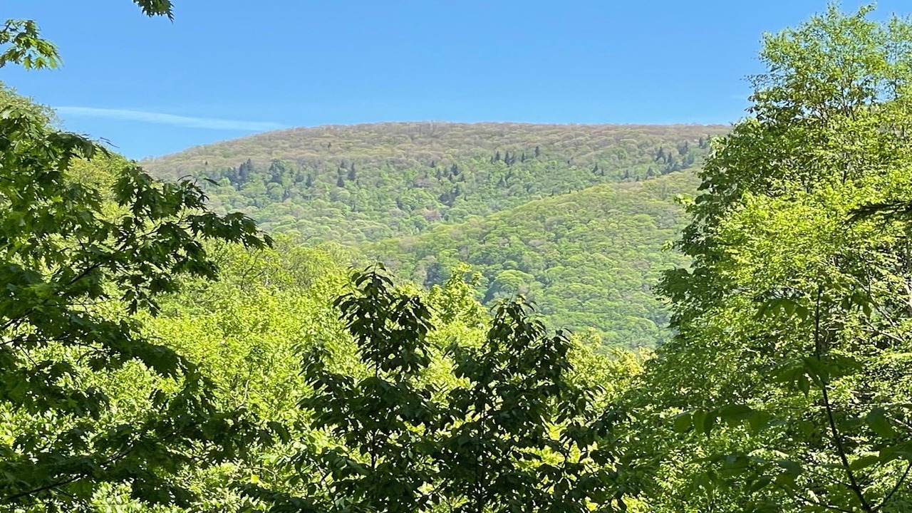 Photo of Others in Maggie Valley