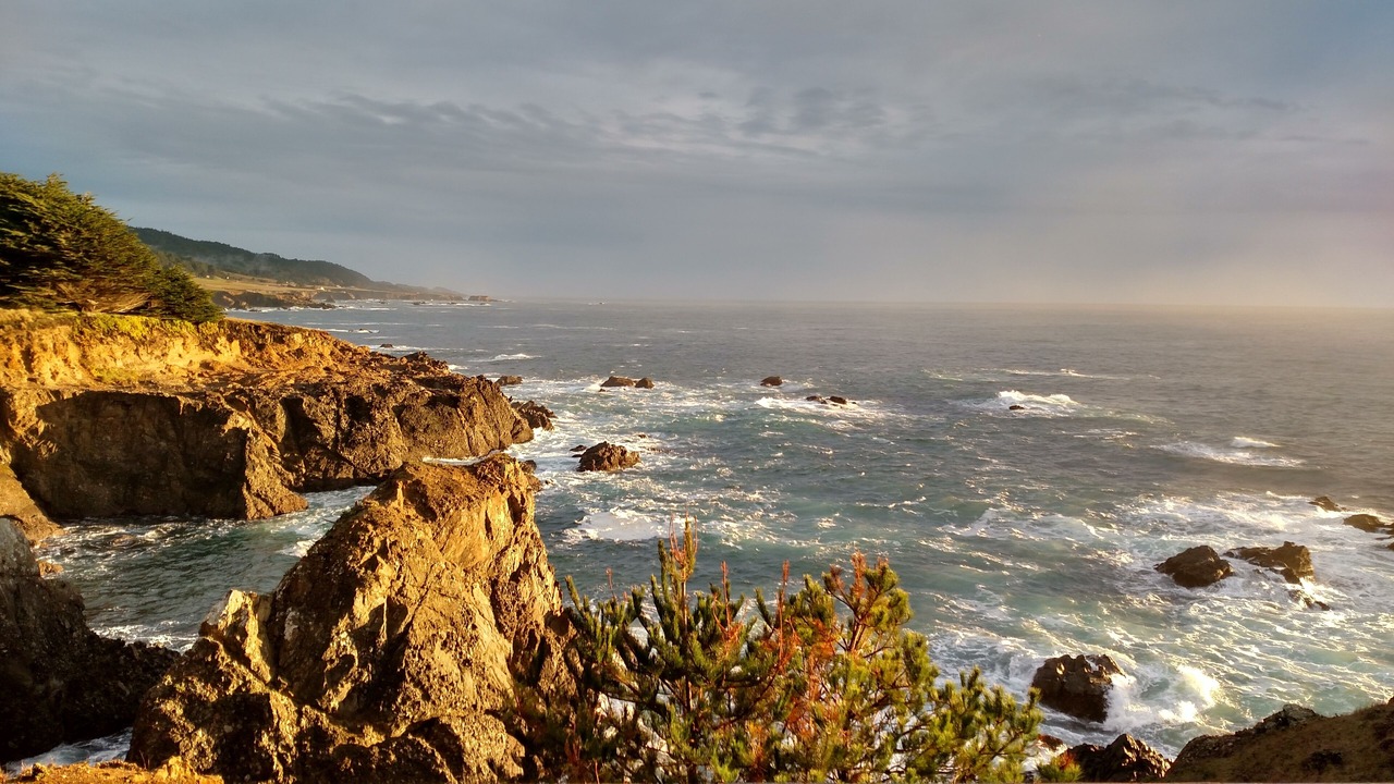 Photo of Others in Sea Ranch