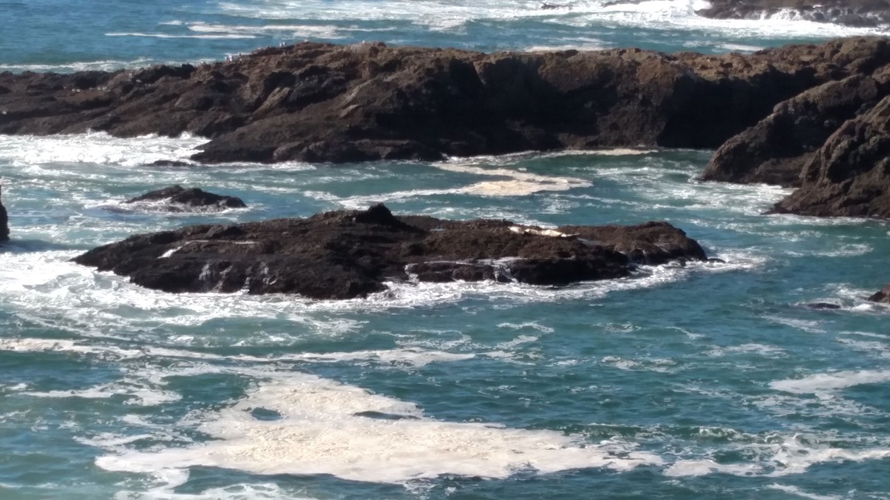 Photo of Others in Sea Ranch