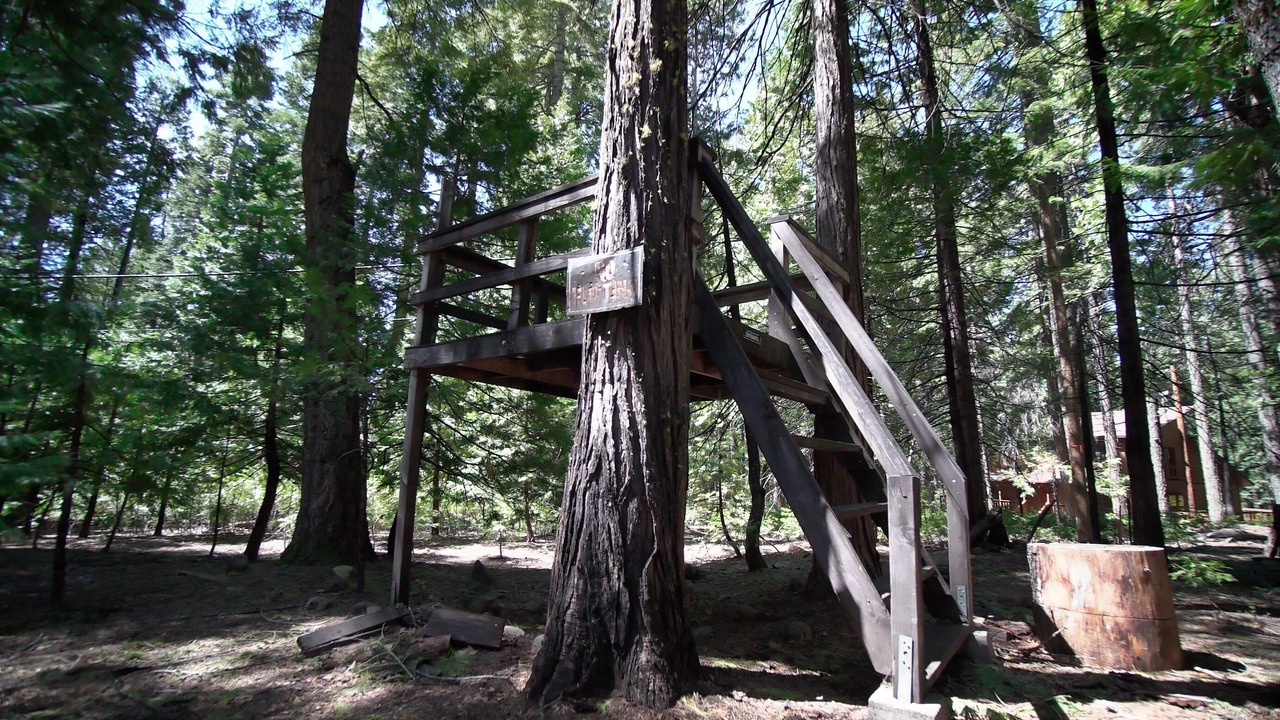 Photo of Outdoor in Arnold