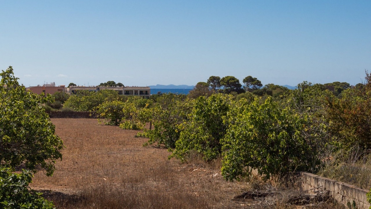 Photo of Outdoor in Llucmajor