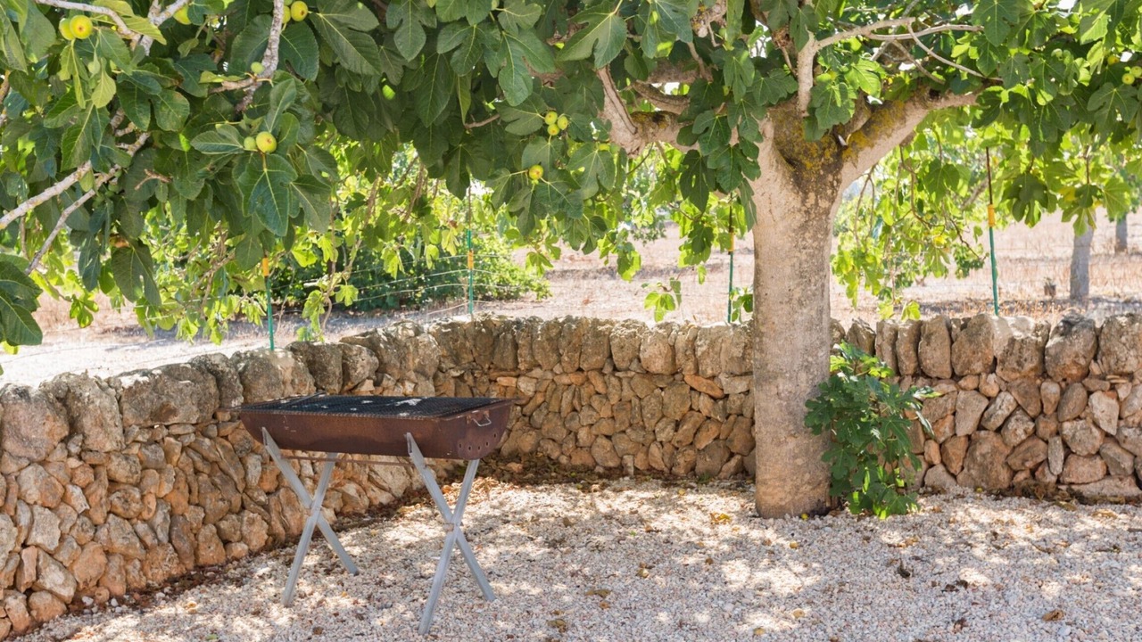 Photo of Outdoor in Llucmajor