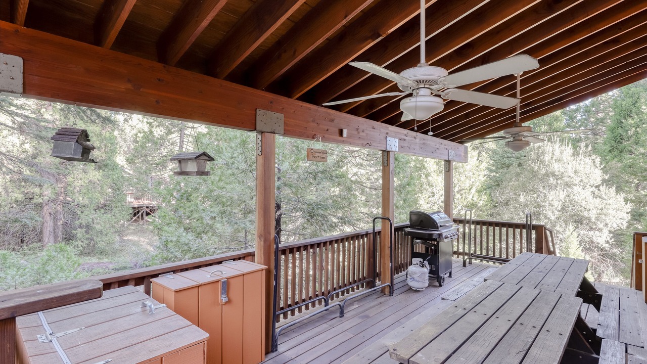 Photo of Outdoor in Shaver Lake