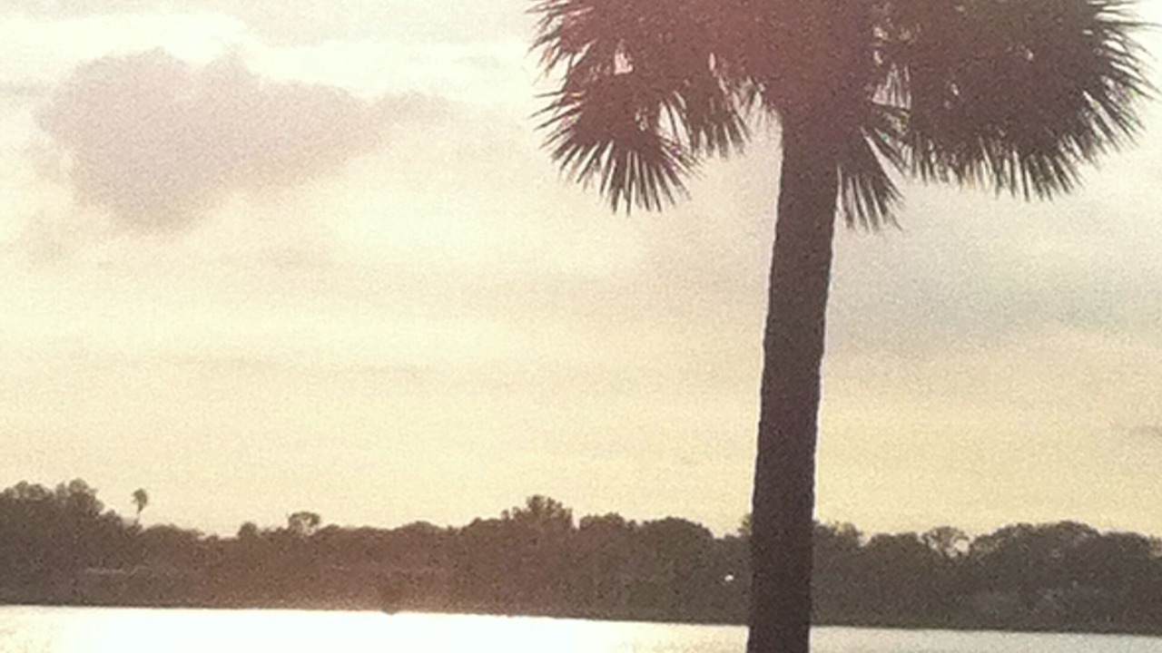 Photo of Others in St. Augustine