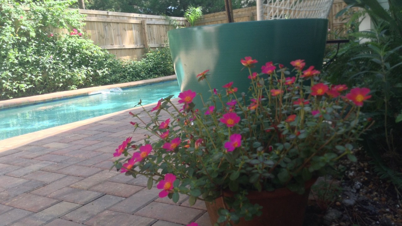 Photo of Outdoor in St. Augustine