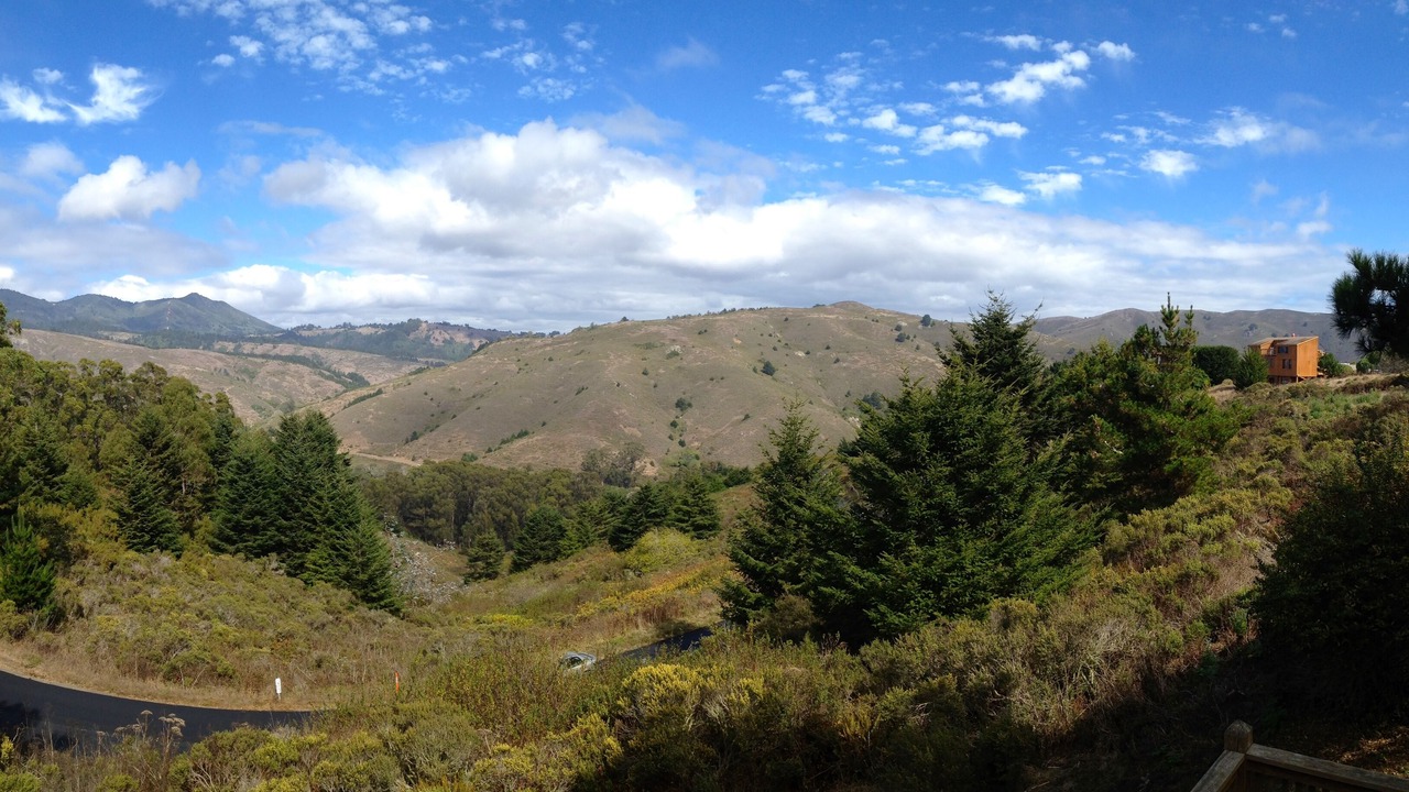 Photo of Others in Muir Beach
