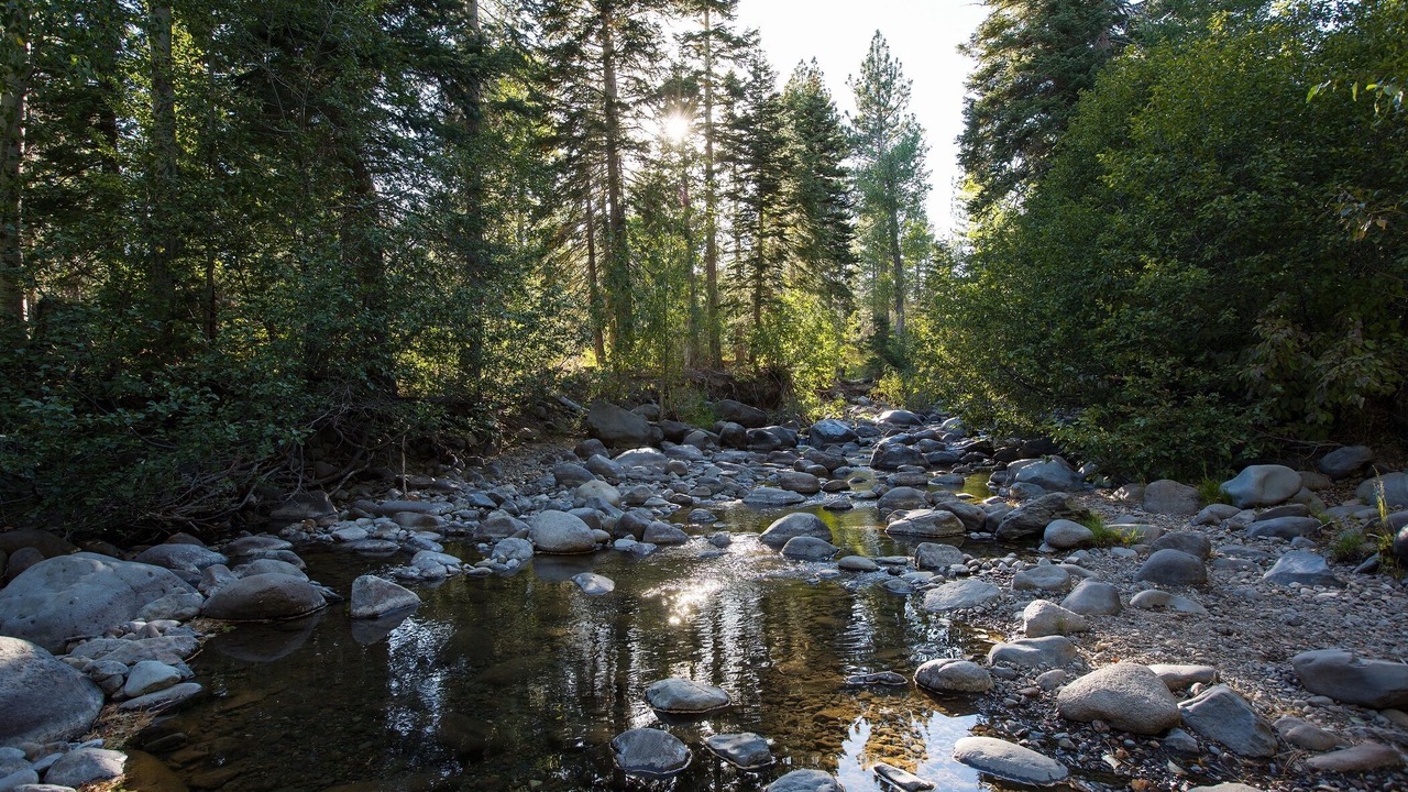 Photo of Outdoor in Pineland