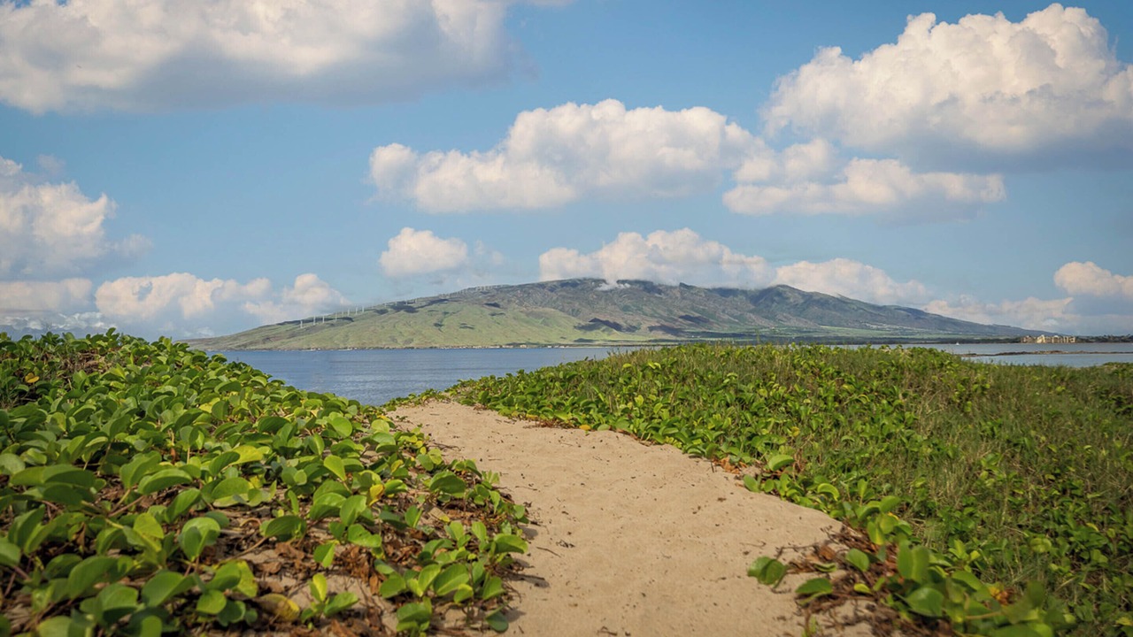 Photo of Others in Kihei