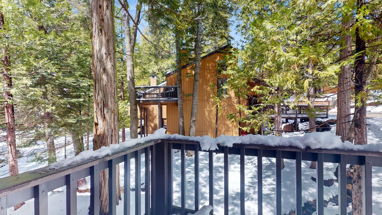 Photo of Outdoor in Shaver Lake