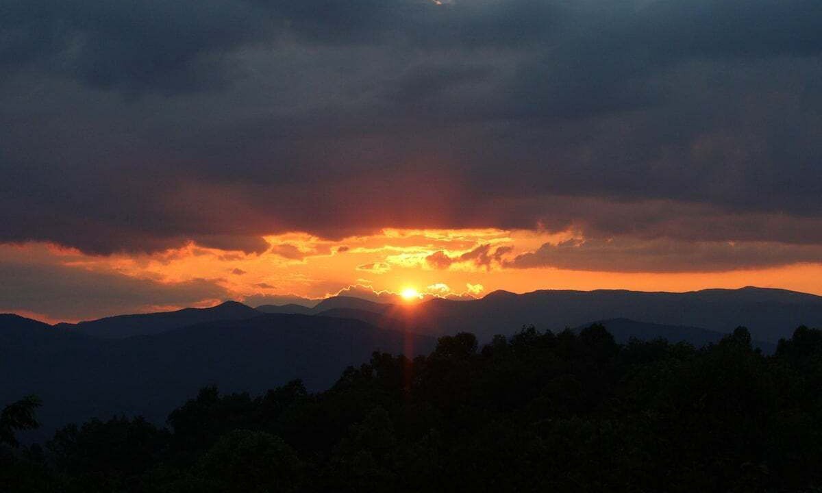 Photo of Others in Pisgah Forest