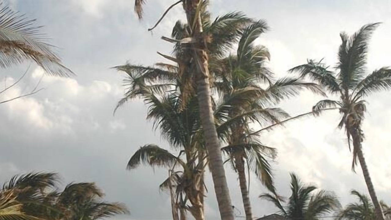 Photo of Others in Lucaya