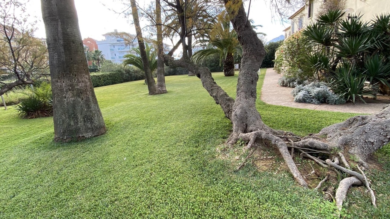 Photo of Outdoor in Molinell