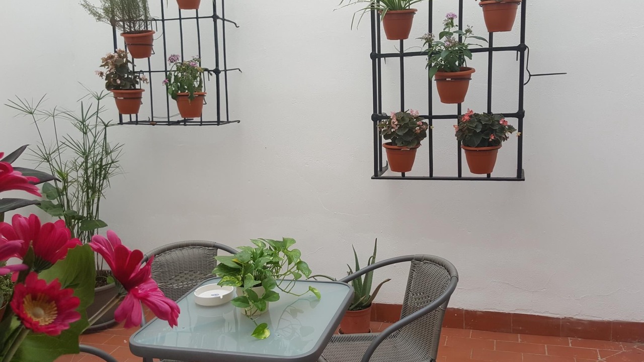 Photo of Outdoor in La Trinidad-San Juan y Todos los Santos