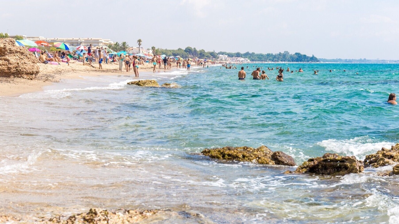 Photo of Others in Miami Platja