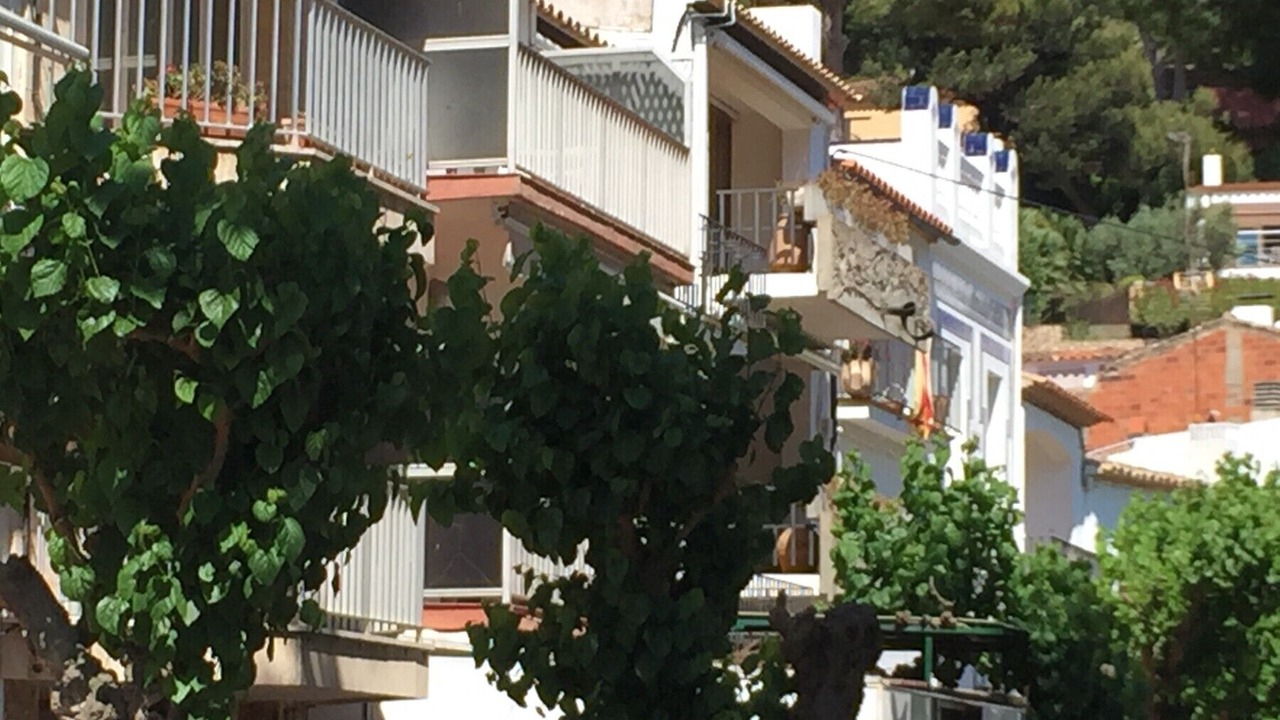 Photo of Others in Llafranc