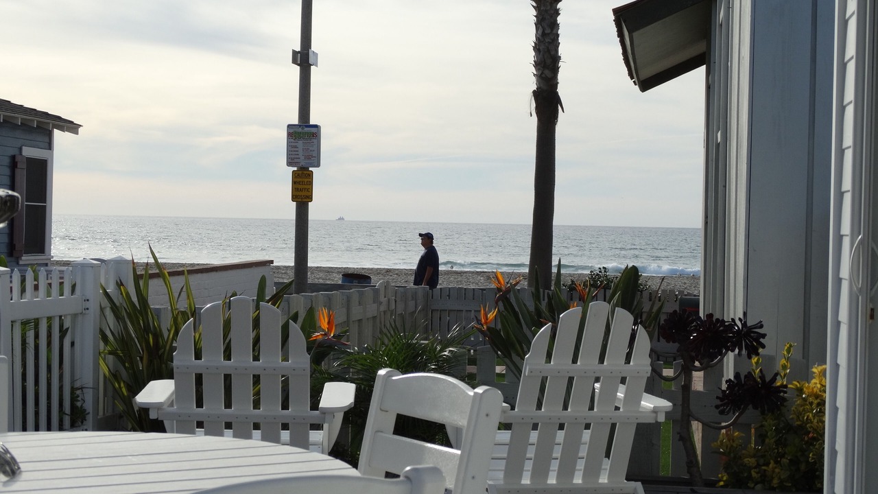 Photo of Others in Mission Beach