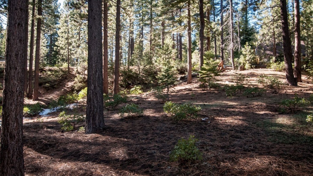 Photo of Others in Pioneer Trail