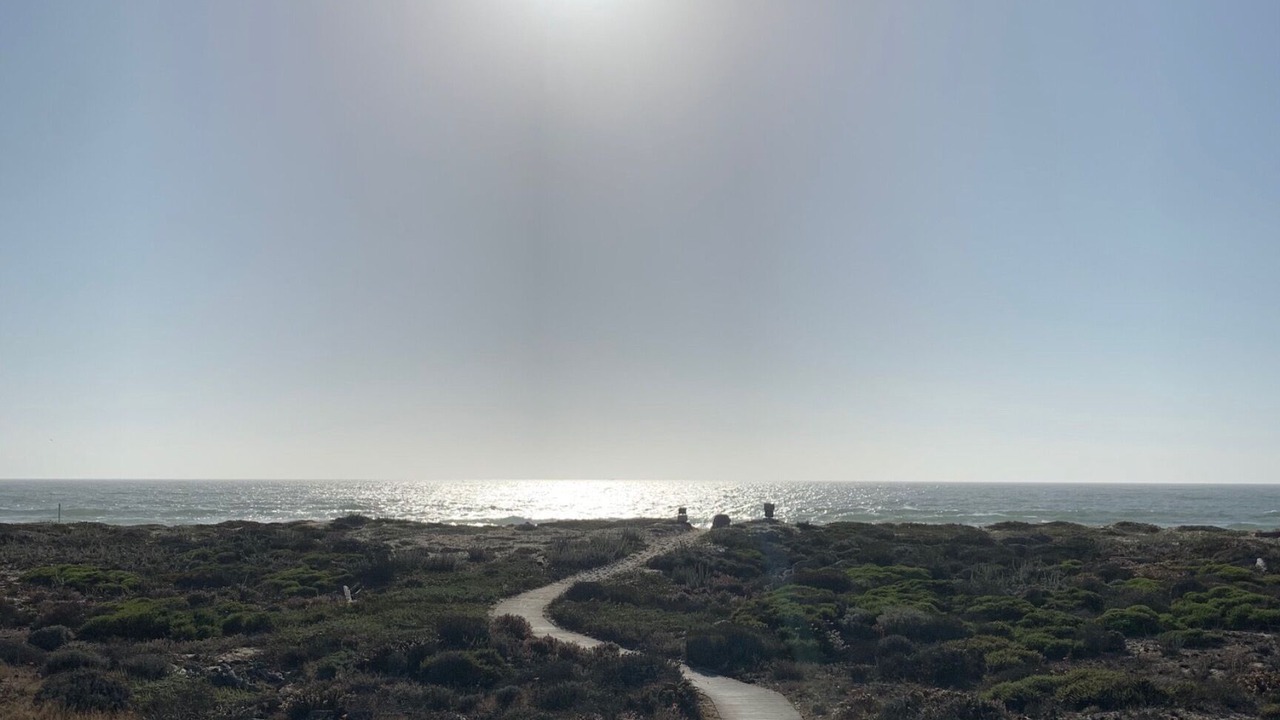 Photo of Others in Castroville