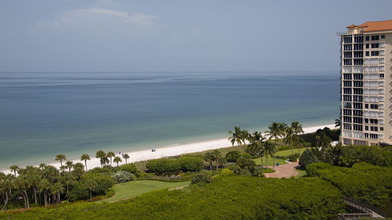 Photo of Others in Park Shore