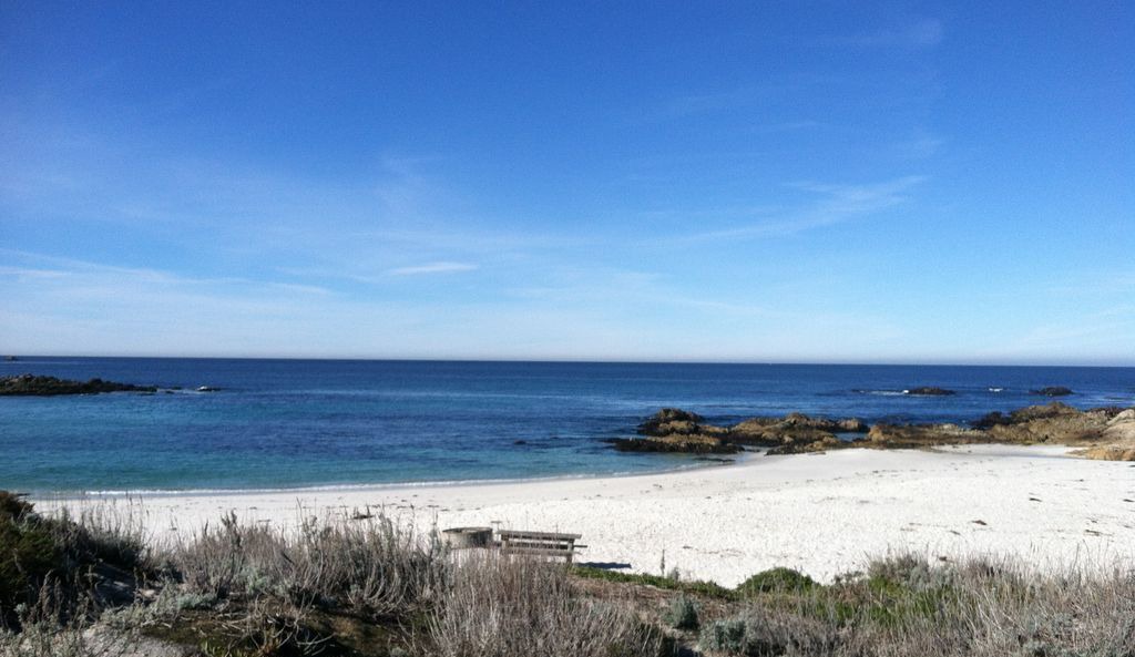 Photo of Others in Pebble Beach