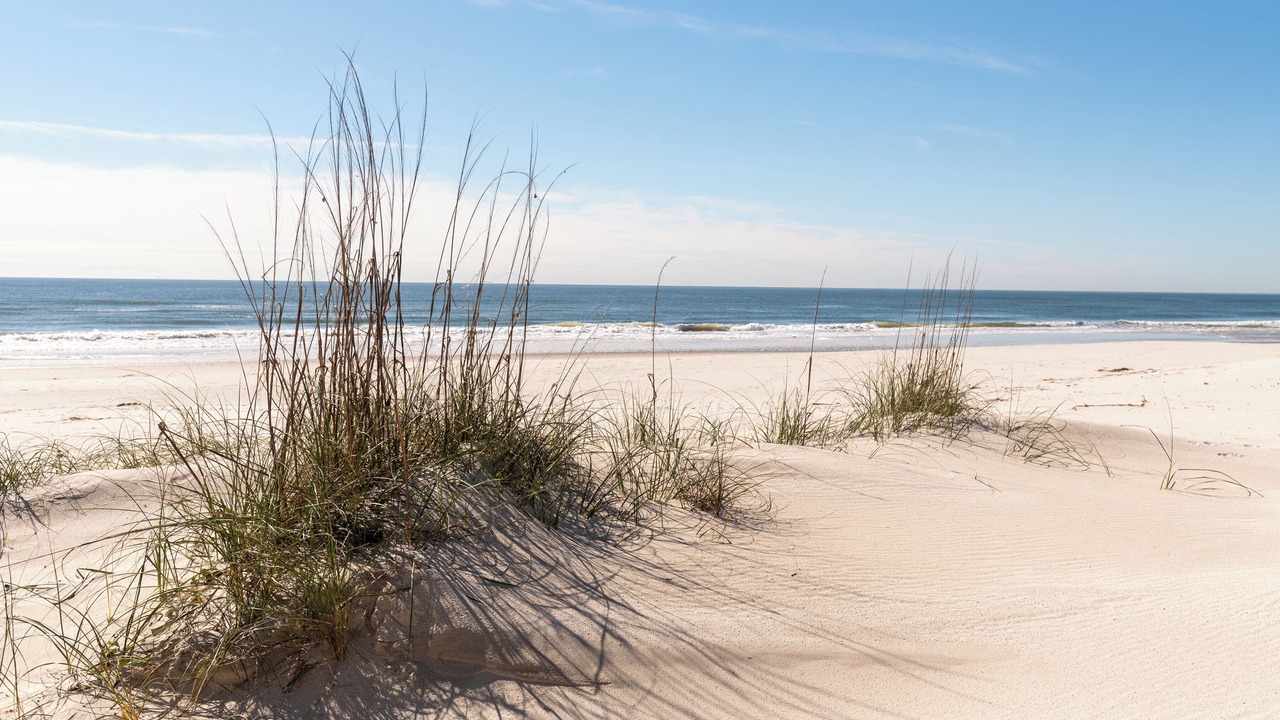 Photo of Others in Dauphin Island