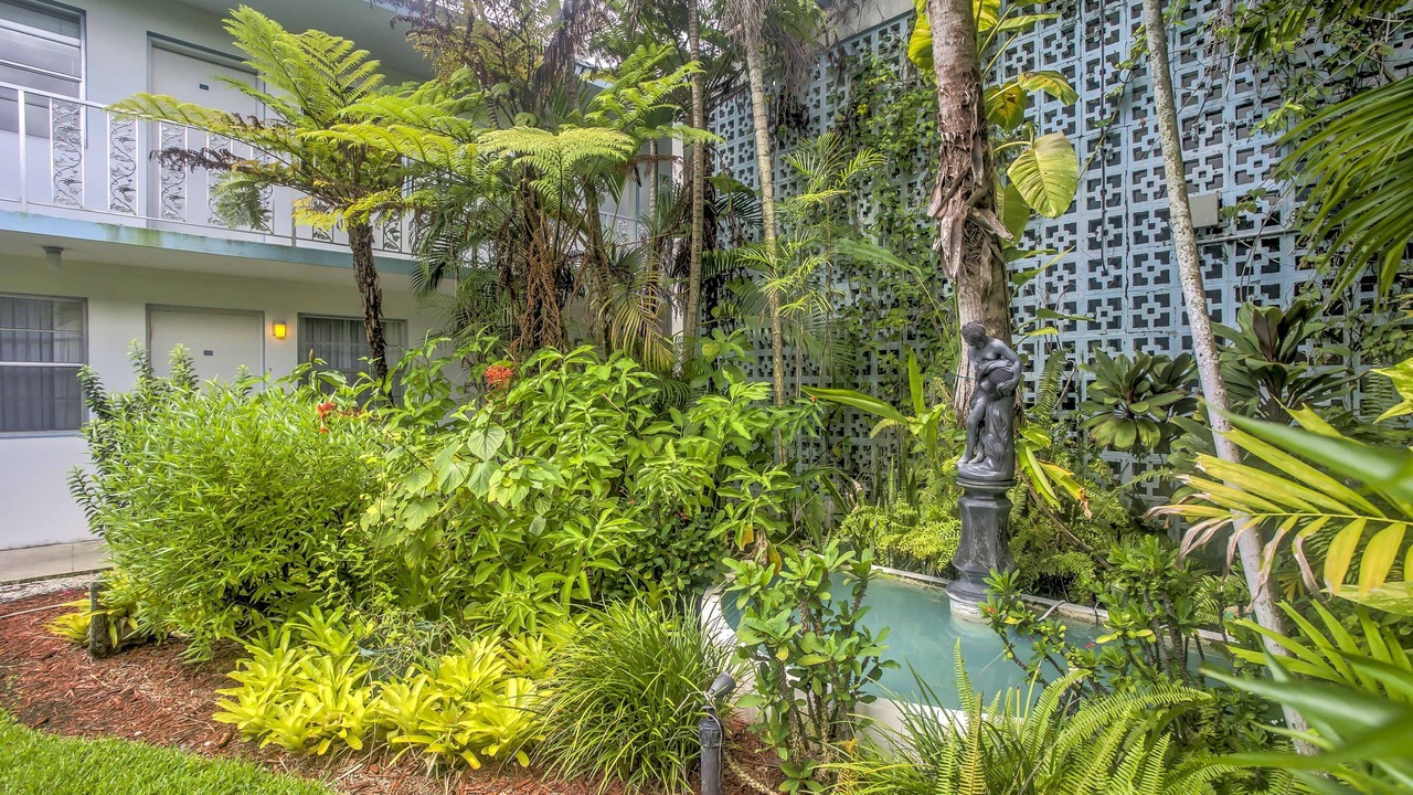 Photo of Outdoor in Old Naples