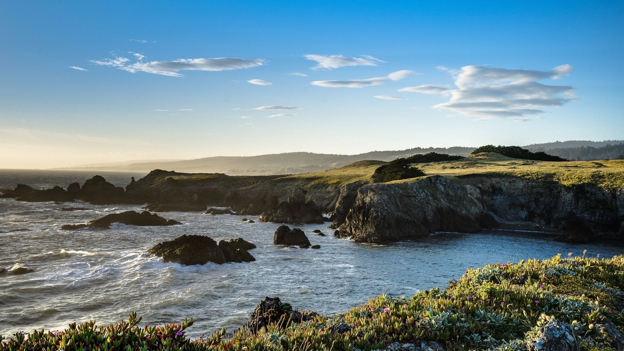 Photo of Others in Sea Ranch