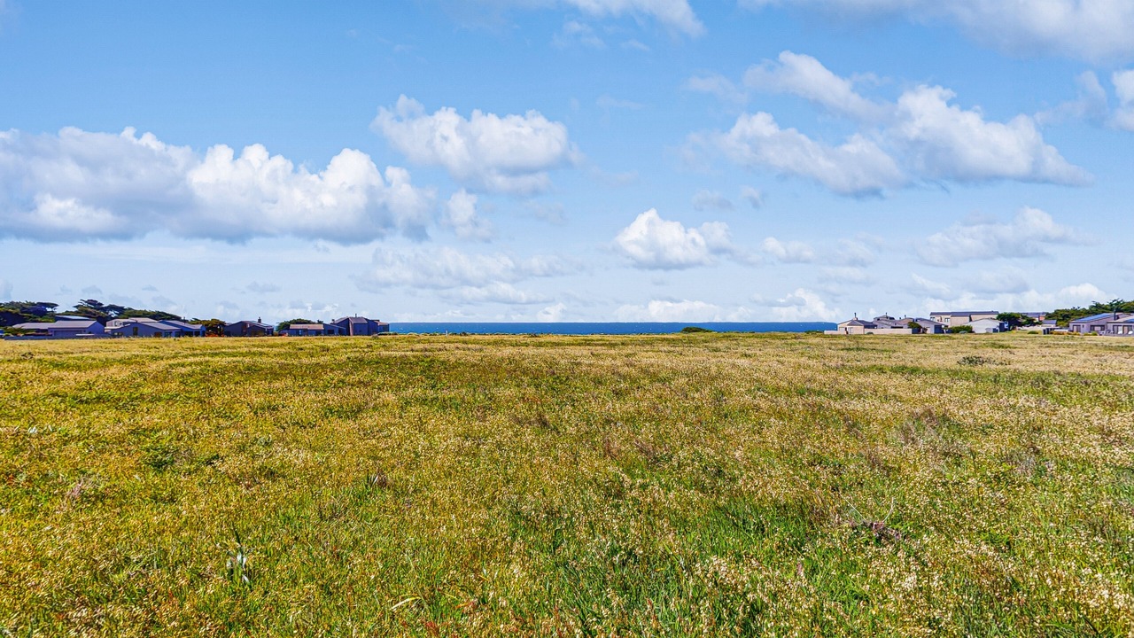 Photo of Others in Sea Ranch