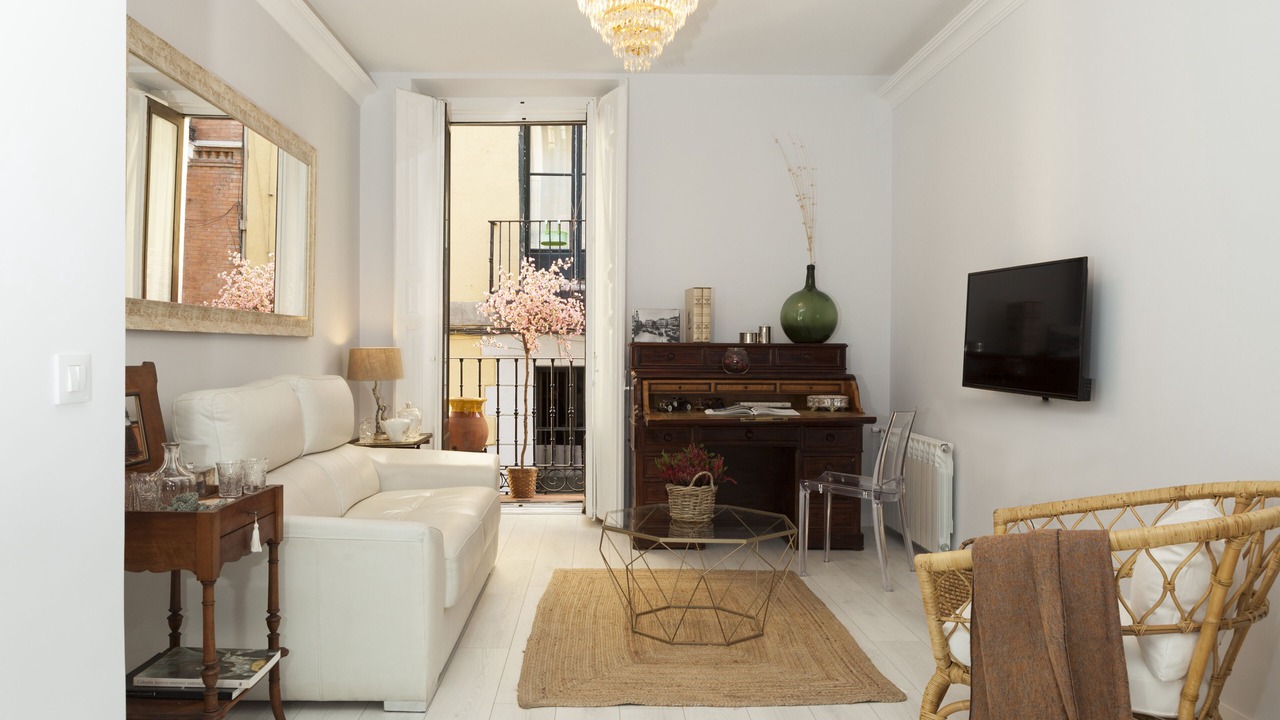 Photo of Livingroom in Embajadores
