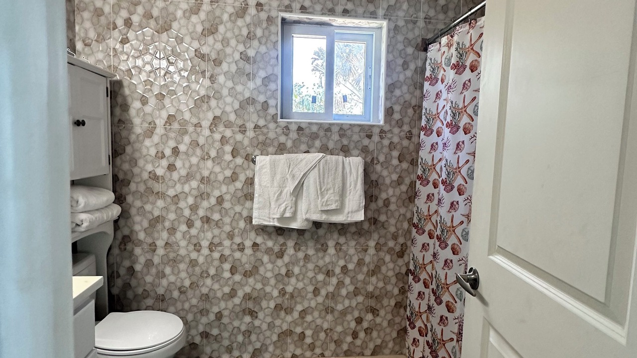 Photo of Bathroom in Gregory Town